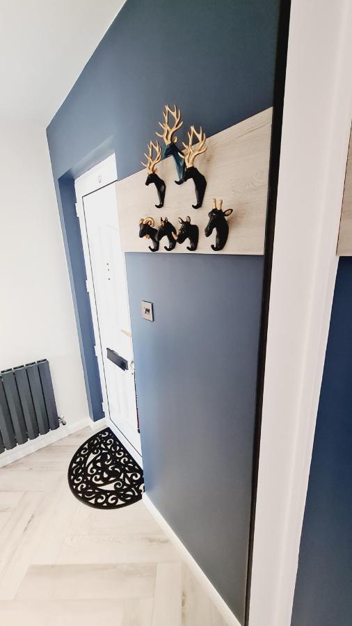 Beautiful 2Bed House With Garden, Walking Distance To Town - Free Parking Apartment Glasgow Bagian luar foto